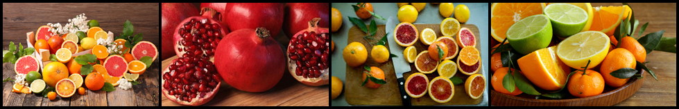 Ρόδια & Εσπεριδοειδή Φρούτα για χυμό με την Πρέσα Αποχυμωτή Ροδιού