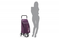 Shopping Trolley Bag Twin Plum First Depiction