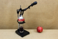 Press Juicer Pomegranate Second Depiction