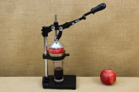 Press Juicer Pomegranate Third Depiction