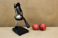 Press Juicer Pomegranate Fourth Depiction