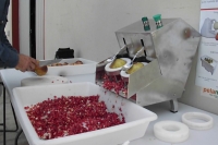 Pomegranate Deseeder Machine Twenty-second Depiction