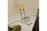 Pineapple Top & Tail Cutting Machine Twenty-eighth Depiction