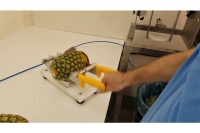 Pineapple Top & Tail Cutting Machine Twenty-ninth Depiction