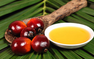 Palm Fruits - Palm Oil